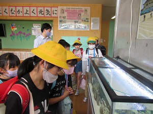 水槽 水槽
