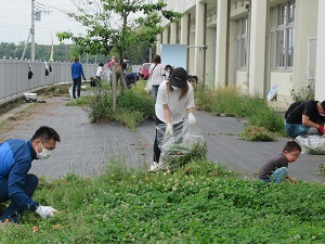 除草 除草