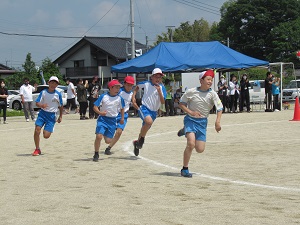 運動会 運動会
