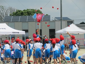 運動会 運動会