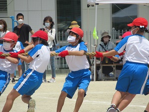 運動会 運動会
