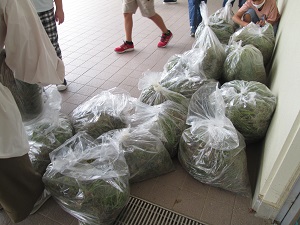 除草 除草
