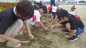 20220909草取り(1) 20220909草取り(1)