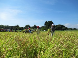 IMG_0927 IMG_0927