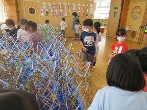 あさがお