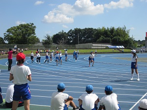 IMG_4604 IMG_4604