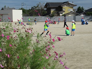 小IMG_1053
