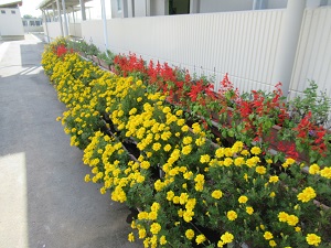 小IMG_1054
