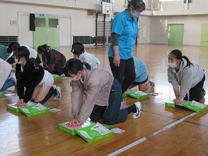 IMG_2672 IMG_2672