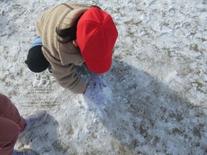 1年雪集め 1