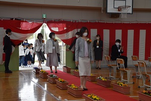 DSC_5985 DSC_5985