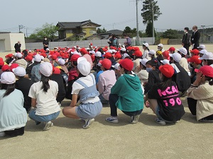 IMG_3553 IMG_3553