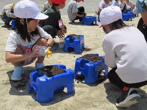 IMG_3656ブログ IMG_3656ブログ