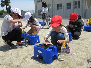 IMG_3661ブログ