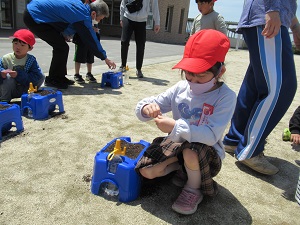 IMG_3665ブログ IMG_3665ブログ