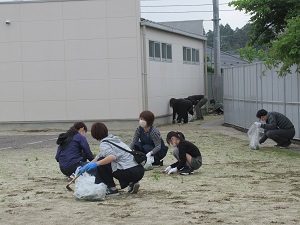 IMG_3707 IMG_3707