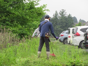 IMG_3710 IMG_3710