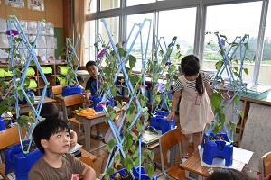 DSC_6529小