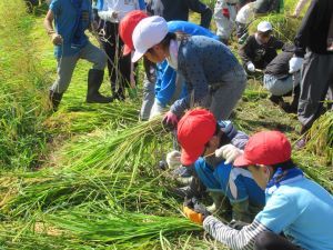 IMG_0345 IMG_0345