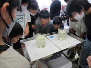 ブログ1