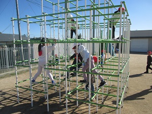 IMG_4370 IMG_4370