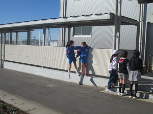 IMG_4377 IMG_4377