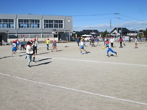IMG_4382 IMG_4382