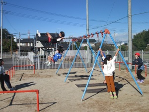 IMG_4391 IMG_4391