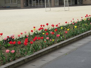 IMG_1342 (1)