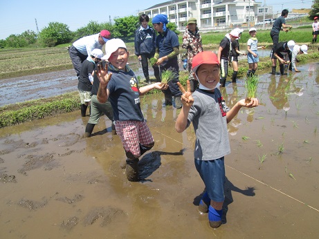 田植え1