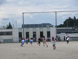 IMG_2610 IMG_2610