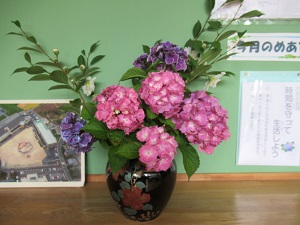 IMG_1732 IMG_1732