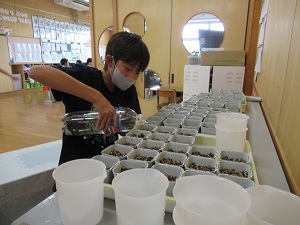 IMG_1722 IMG_1722