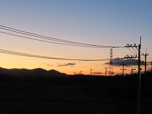 IMG_2917 IMG_2917