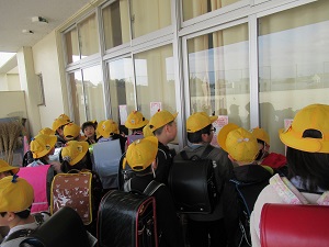 IMG_3310 IMG_3310