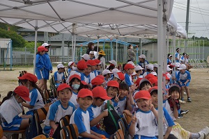 DSC_2310 DSC_2310