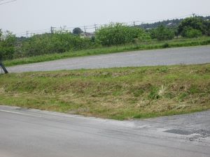 IMG_4694