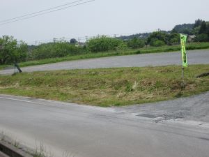 IMG_4695 IMG_4695
