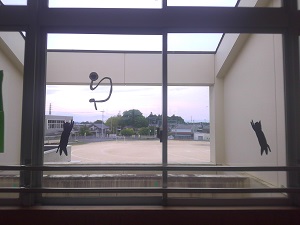 IMG_20250529_160235