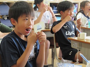 IMG_3517 IMG_3517