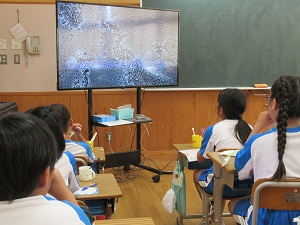 IMG_3534 IMG_3534