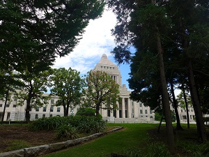 P1130209国会1