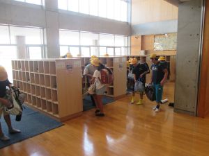 IMG_5462 IMG_5462