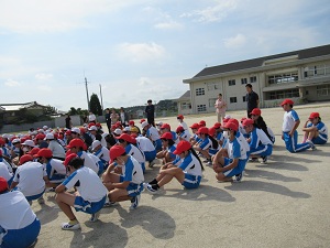 IMG_3729 IMG_3729