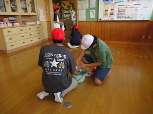 IMG_3733 IMG_3733