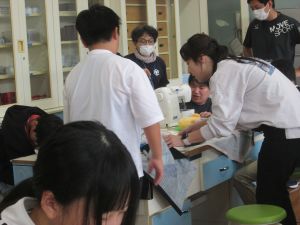 IMG_4985