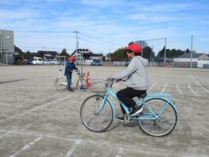 IMG_4381 IMG_4381