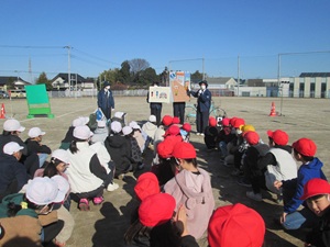 IMG_5243 IMG_5243
