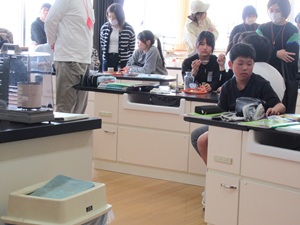 IMG_4906 IMG_4906