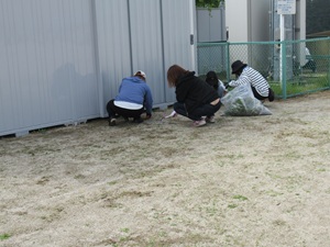 IMG_4947 IMG_4947